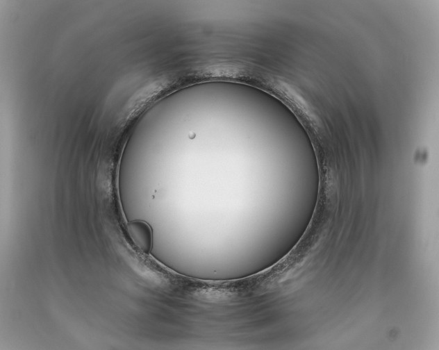 X0000091660537200709061022