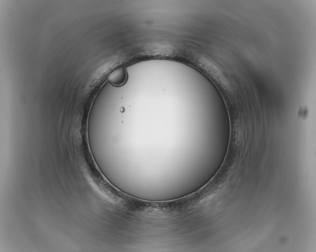 X0000091660538200709061022