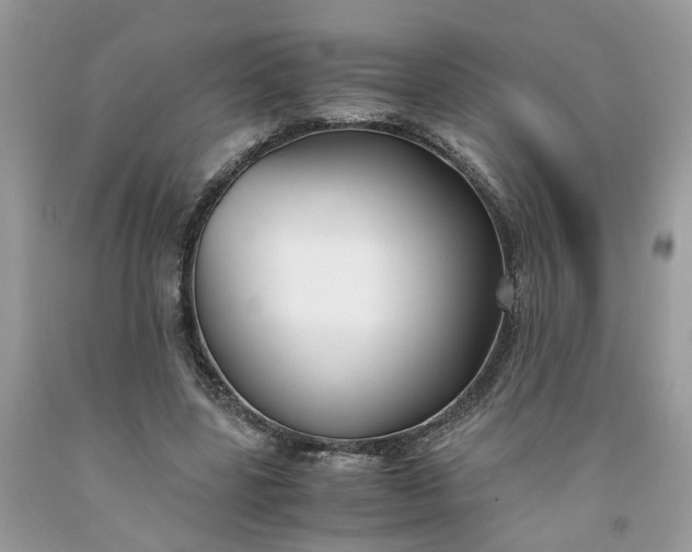 X0000091660539200709061022