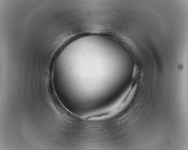 X0000091660540200709061022