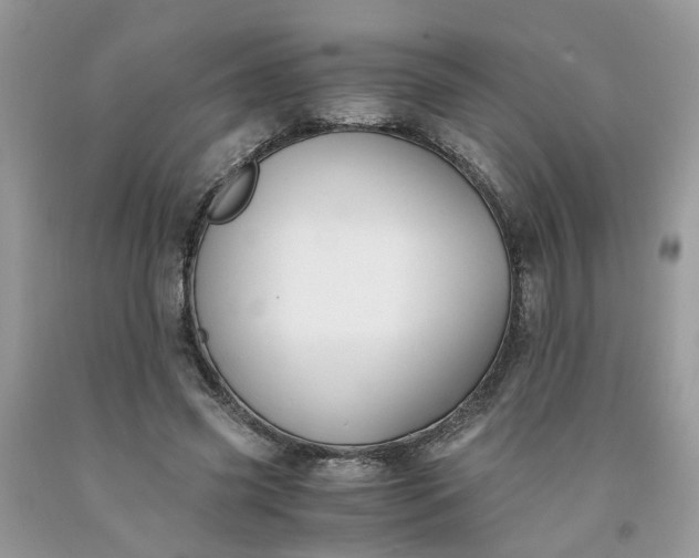 X0000091660541200709061022