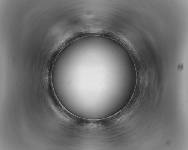 X0000091660542200709061022