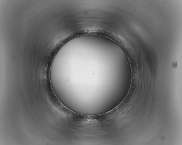 X0000091660543200709061022