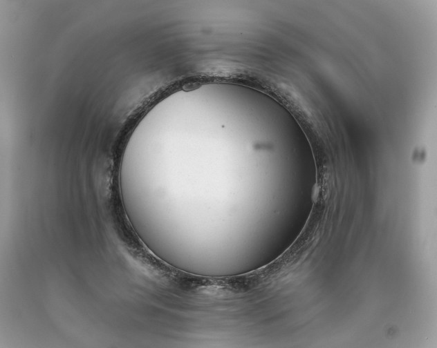 X0000091660544200709061022