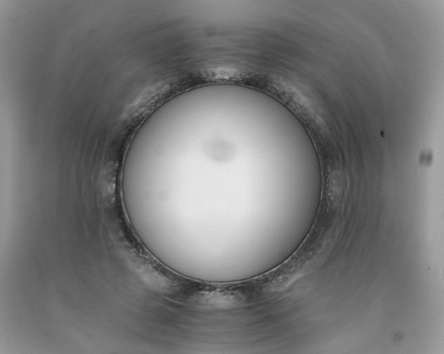 X0000091660545200709061022