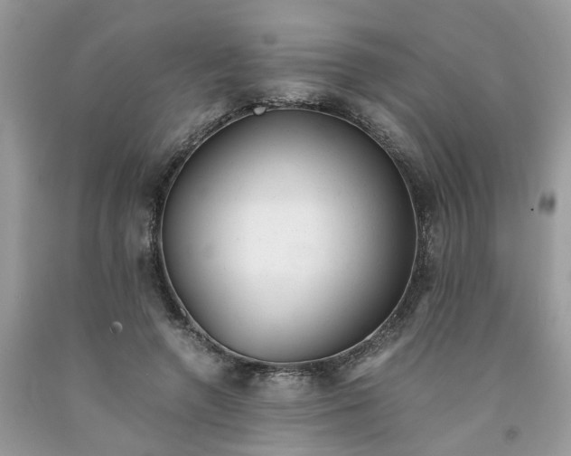 X0000091660546200709061022