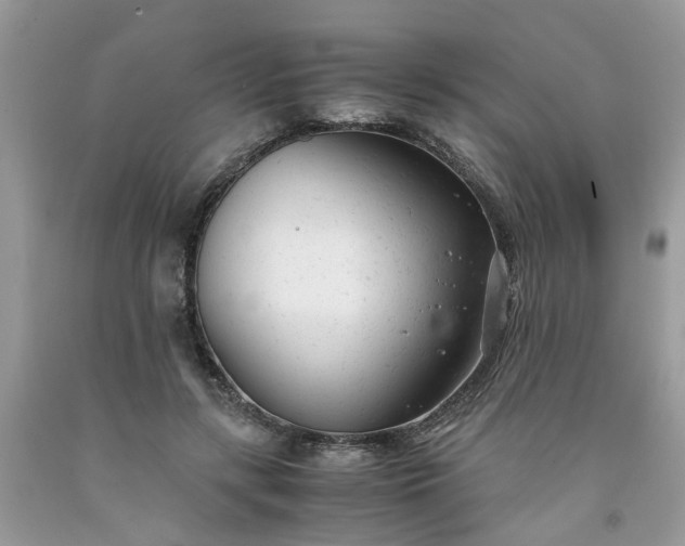 X0000091660547200709061022