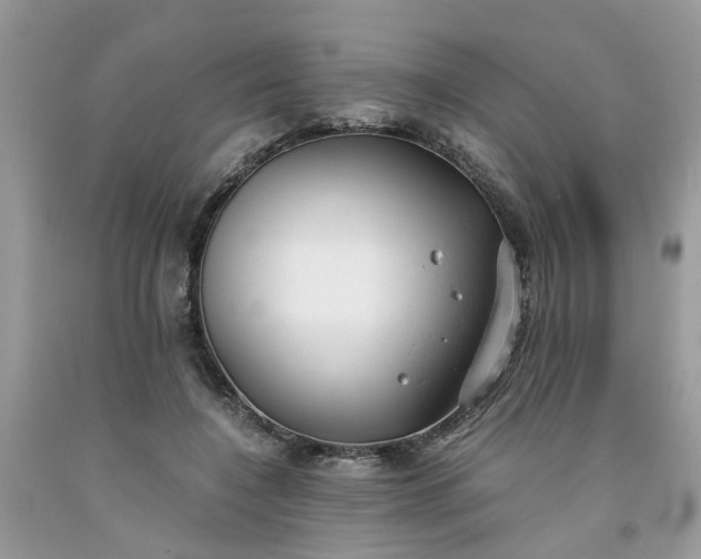 X0000091660548200709061022