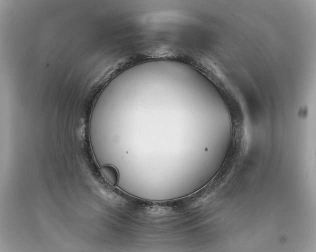 X0000091660549200709061023