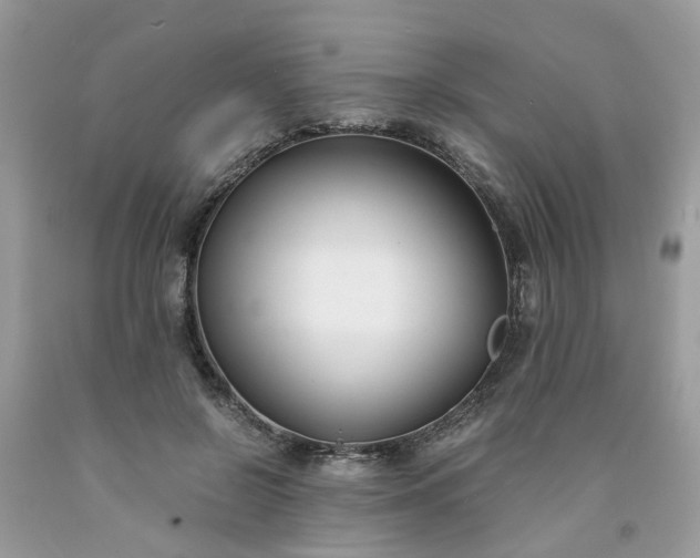 X0000091660550200709061023