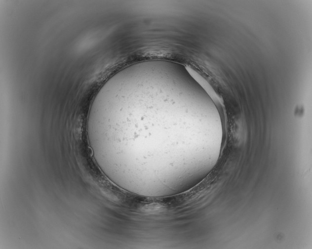 X0000091660551200709061023