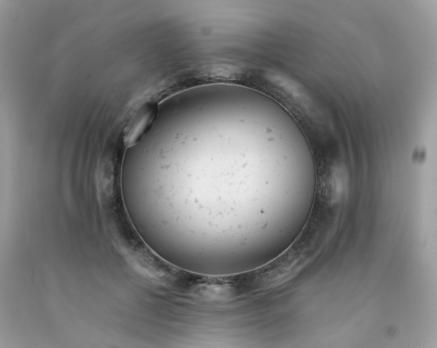 X0000091660552200709061023