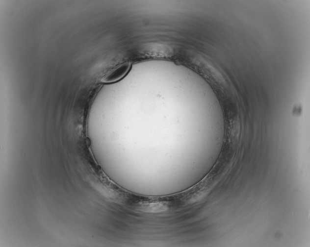 X0000091660553200709061023