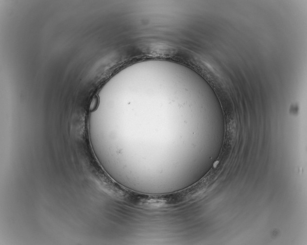 X0000091660554200709061023