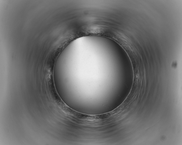 X0000091660555200709061023