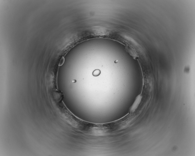 X0000091660556200709061023