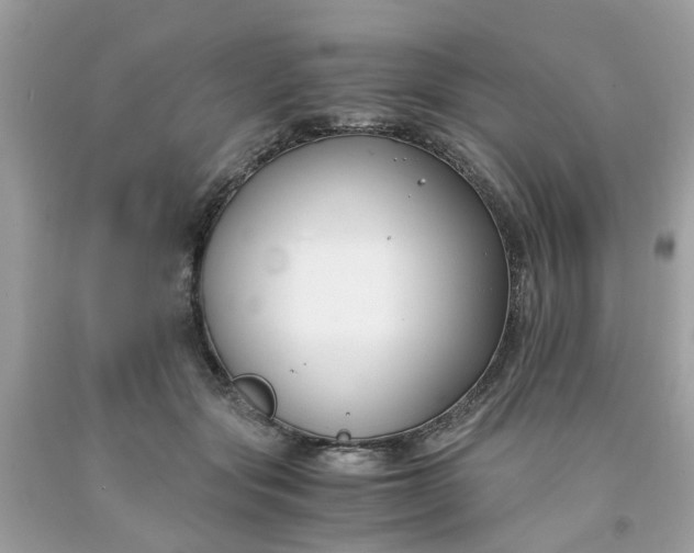 X0000091660557200709061023