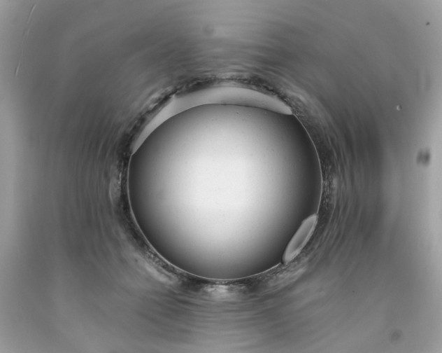 X0000091660558200709061023