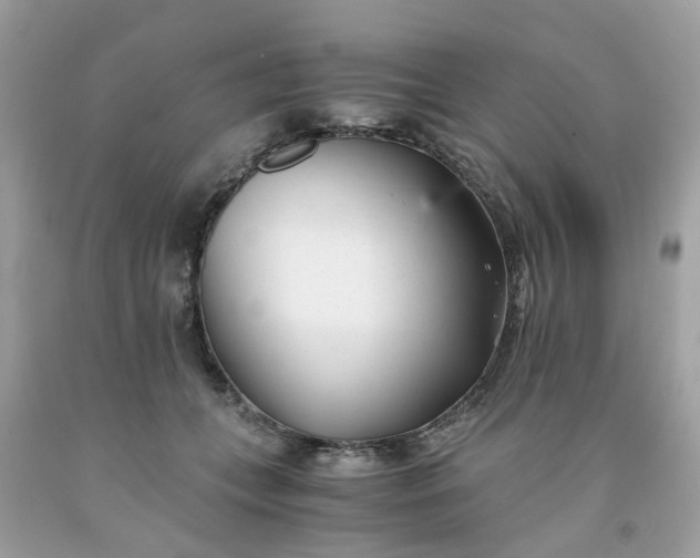 X0000091660559200709061023