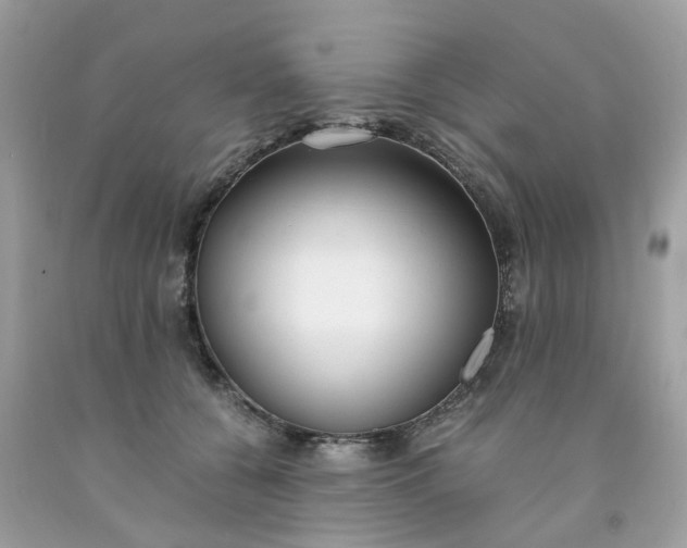 X0000091660560200709061023