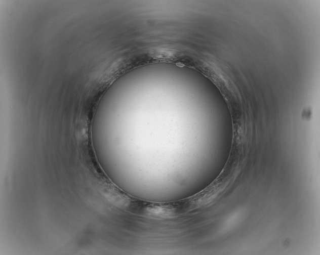 X0000091660561200709061023