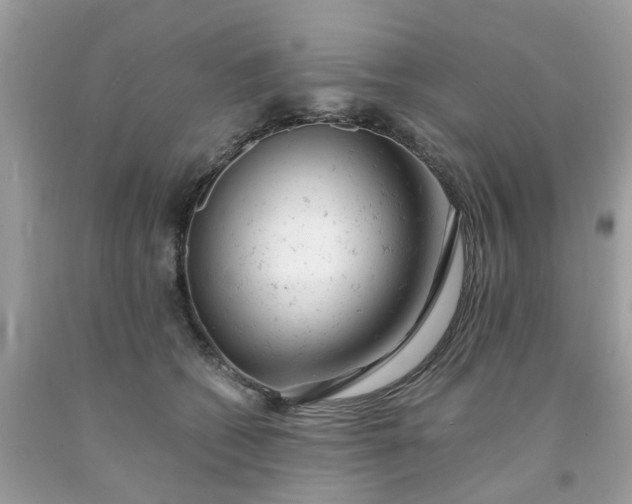 X0000091660562200709061023