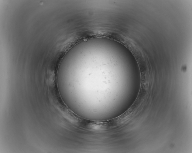 X0000091660563200709061023