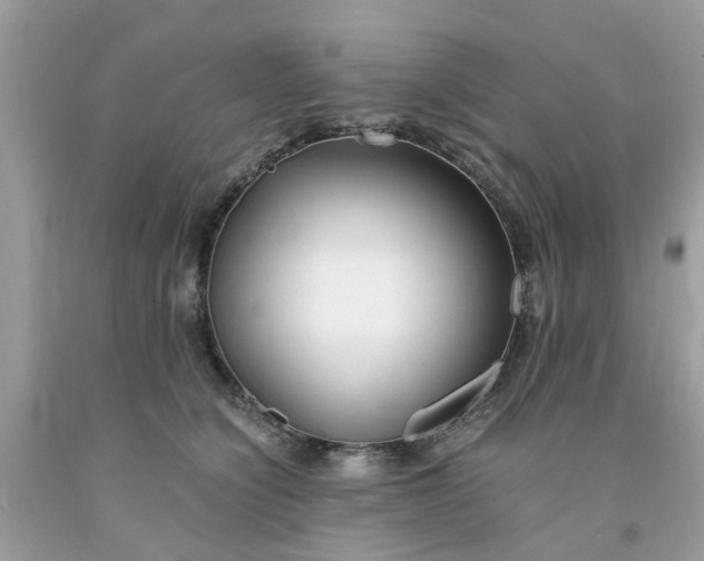 X0000091660564200709061023