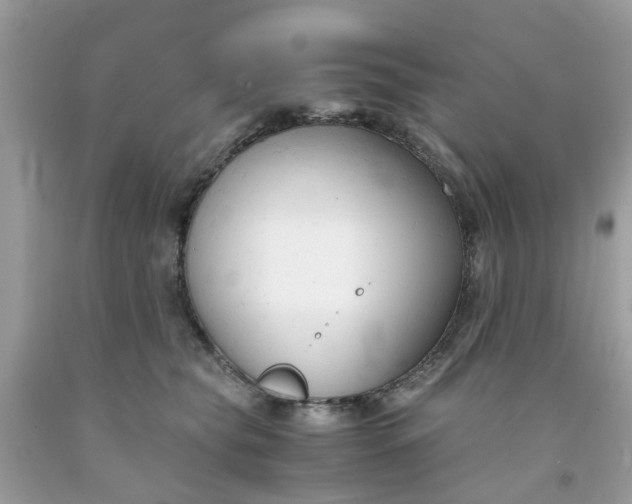 X0000091660565200709061023