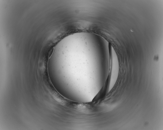 X0000091660566200709061023