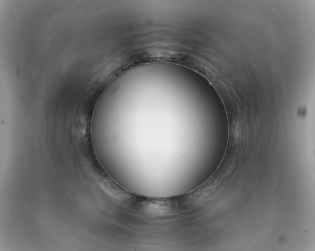 X0000091660567200709061023