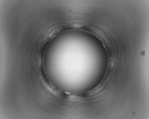 X0000091660568200709061023