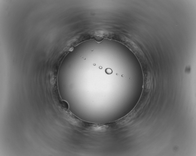 X0000091660569200709061023