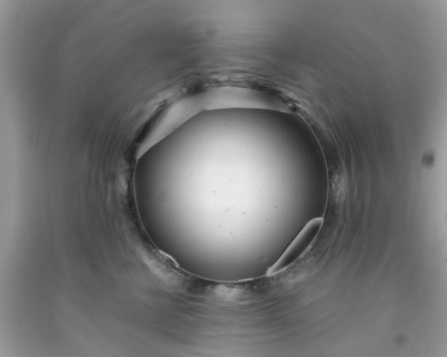 X0000091660570200709061023