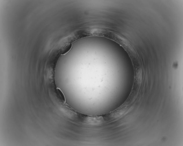 X0000091660571200709061023