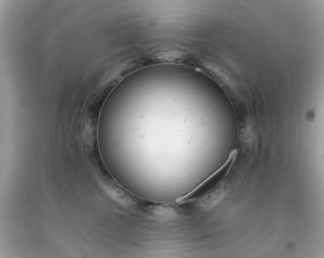 X0000091660572200709061023