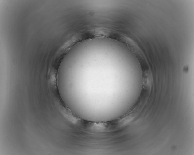 X0000091660573200709061023