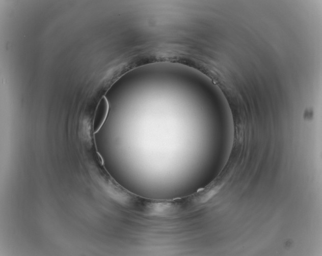 X0000091660575200709061023