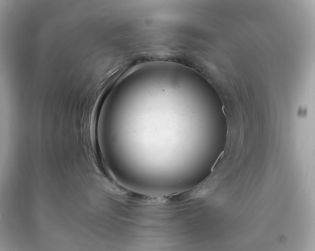 X0000091660576200709061023