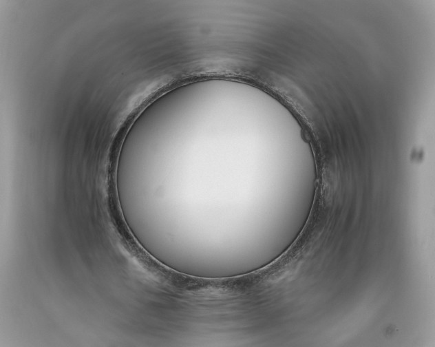 X0000091660578200709061022