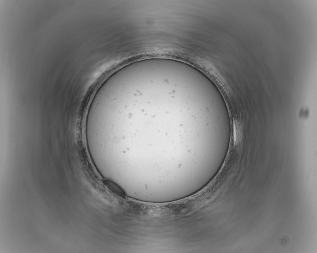 X0000091660579200709061022