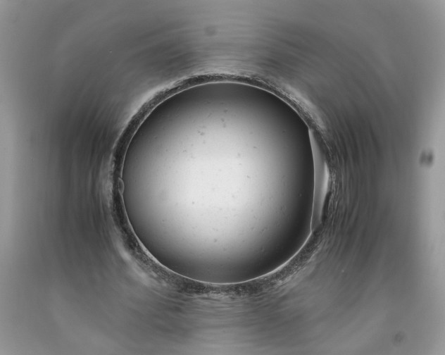 X0000091660580200709061022