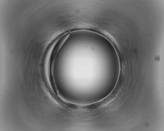 X0000091660581200709061022