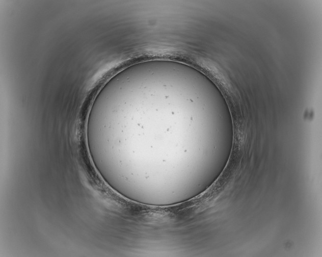 X0000091660583200709061022