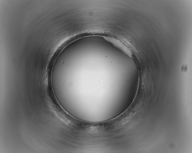 X0000091660584200709061022