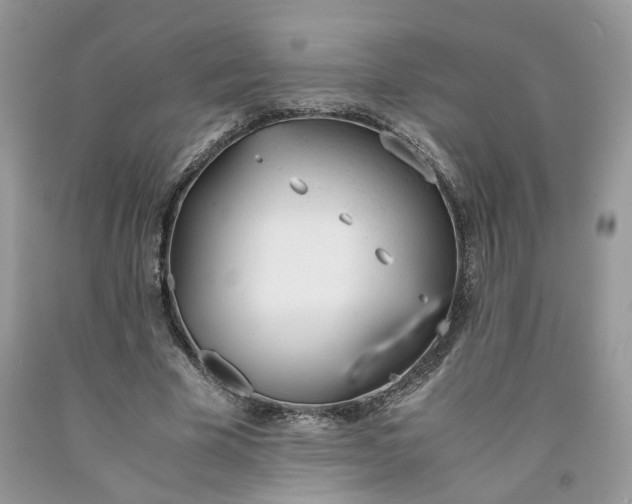 X0000091660585200709061022