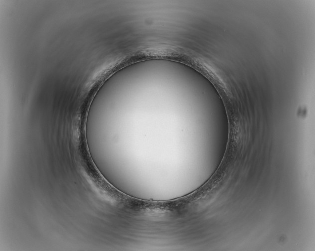 X0000091660586200709061022