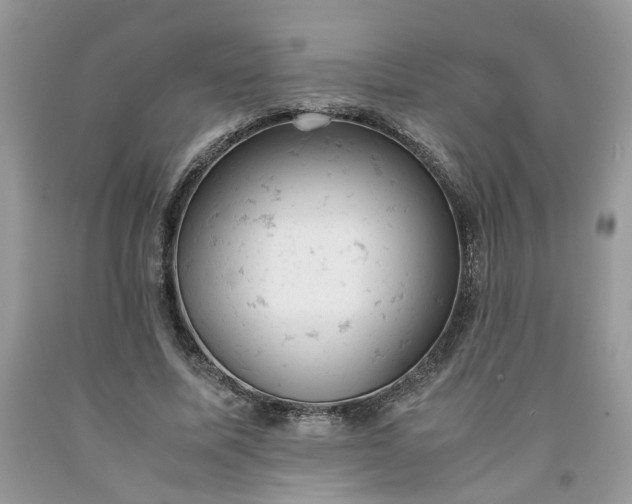 X0000091660587200709061022