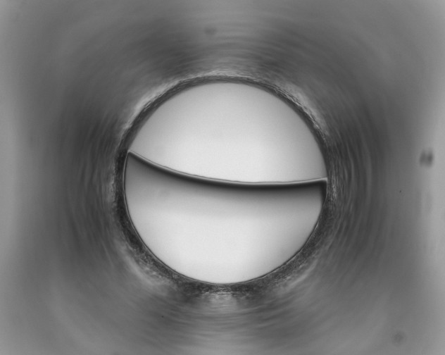 X0000091660588200709061022