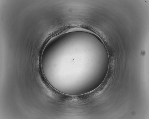 X0000091660589200709061022